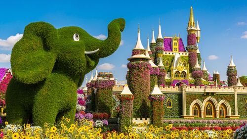 Looking For Fun Things To Explore In Dubai On Your Next Trip? Bookmark This Now!